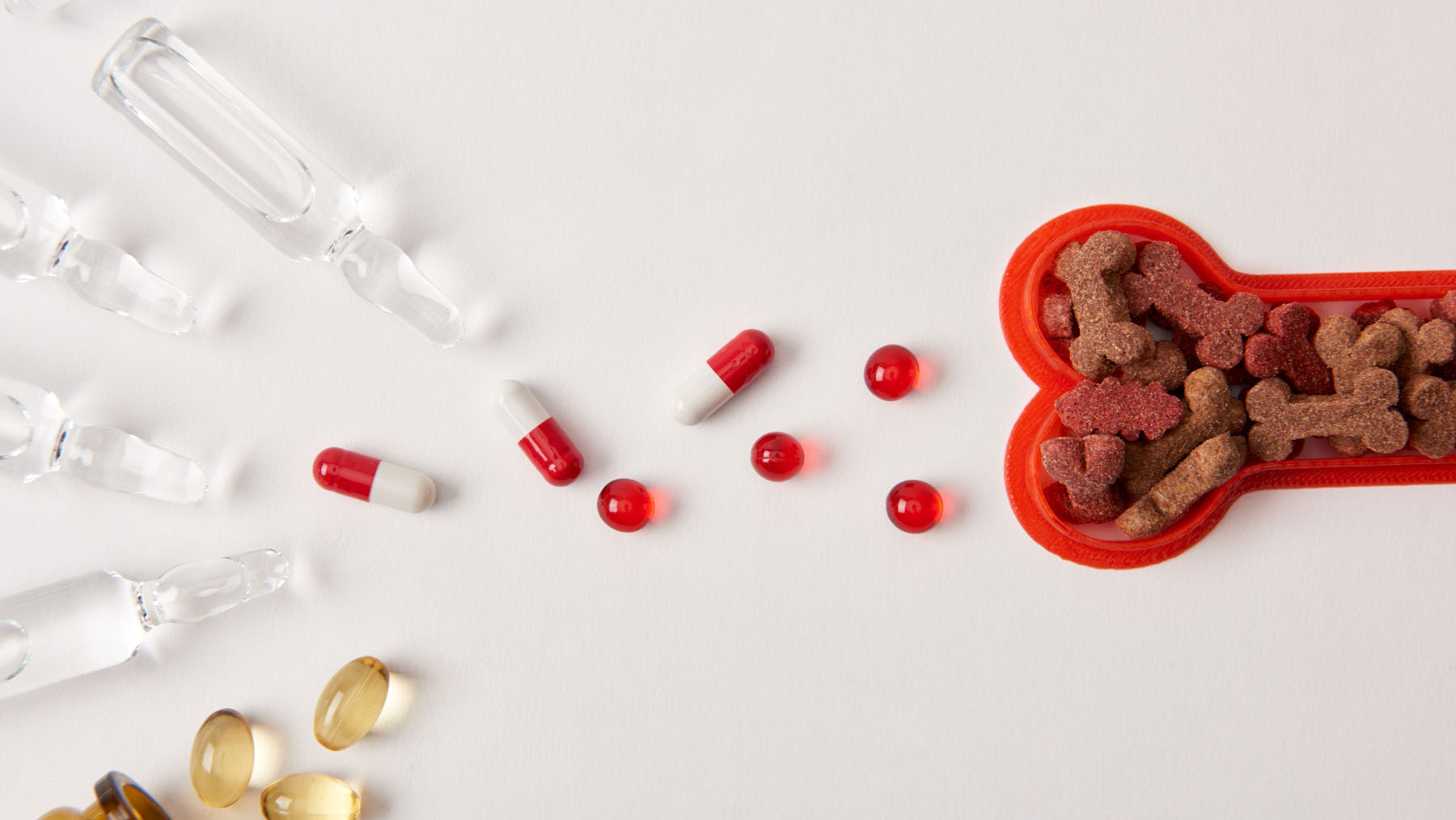 different medicine for animals
